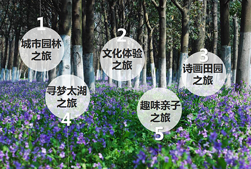 苏州租车公司带您游览园博会！